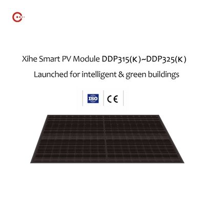 Modul Solar PV Bifacial Panel Surya 315w Monocrystalline